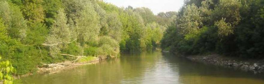 immagine del fiume reno