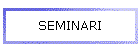 SEMINARI