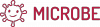 MICROBE - meeting e conferenza finale di progetto