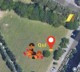 Storie sotto l'albero - Senza parole
