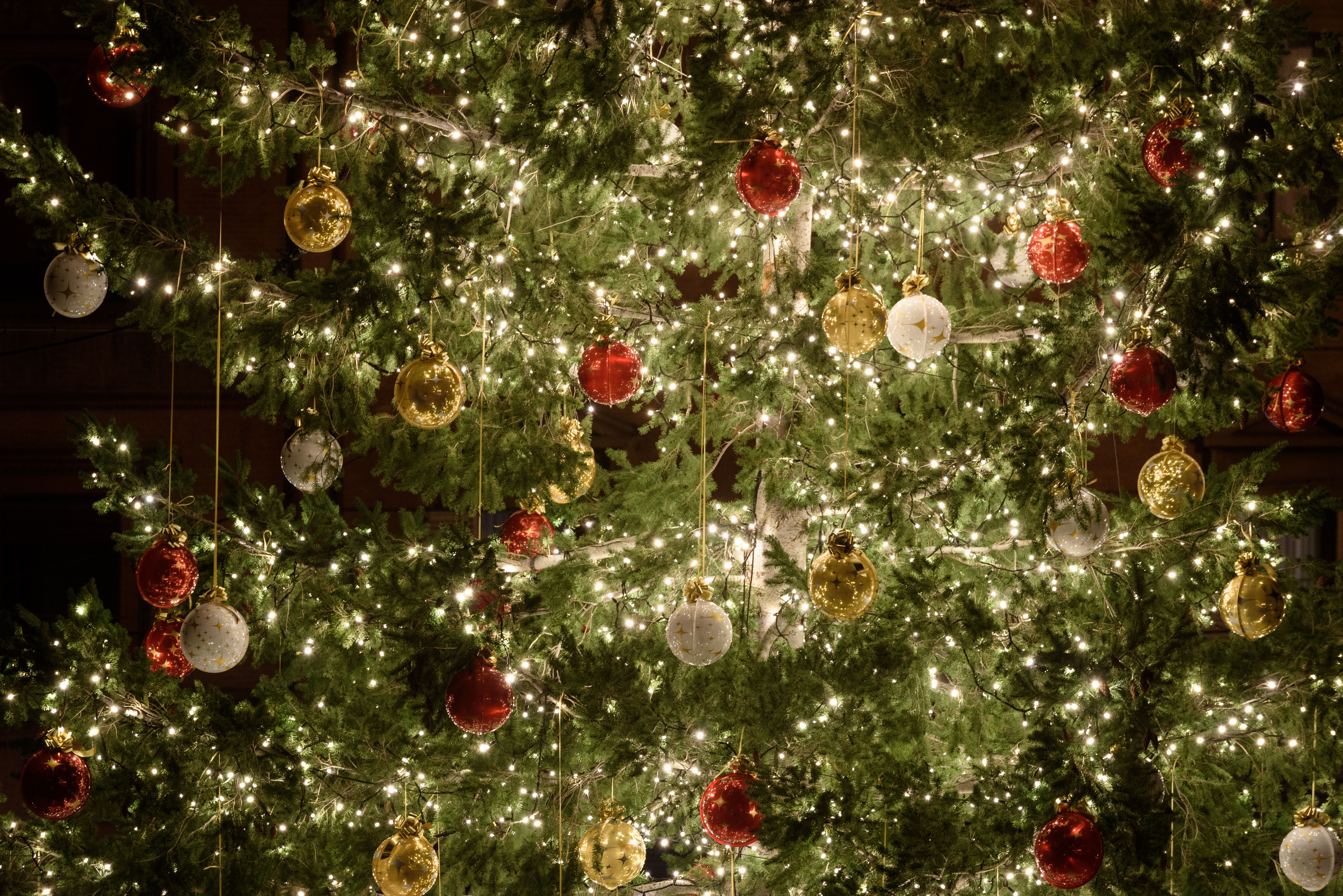 Immagini Natalizie Tumblr.Feste Natalizie La Citta Si Illumina L Albero La Torre Degli Asinelli Via D Azeglio Iperbole