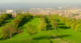 Alberi