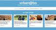 home page sito urbanbo