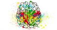 disegno di una mente colorata per news coronavirus e supporto psicologico 