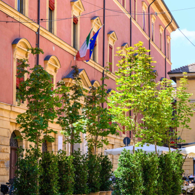 Alberi nelle piazze del centro