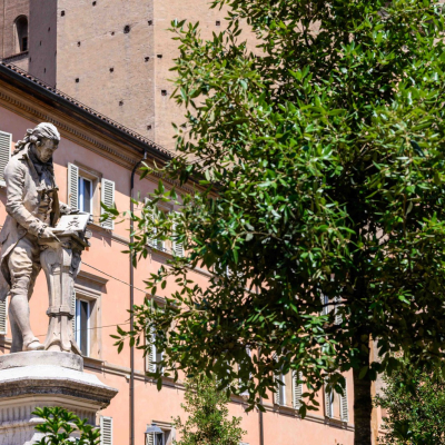 Alberi nelle piazze del centro