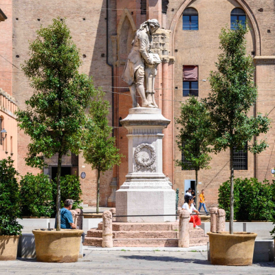 Alberi nelle piazze del centro