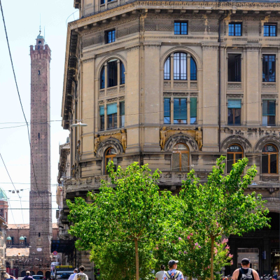 Alberi nelle piazze del centro