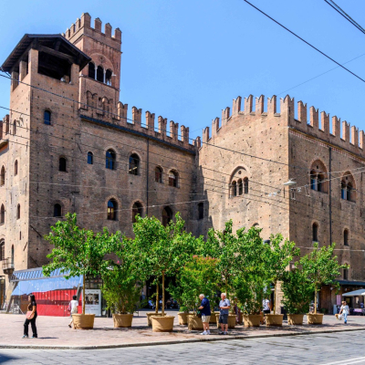 Alberi nelle piazze del centro