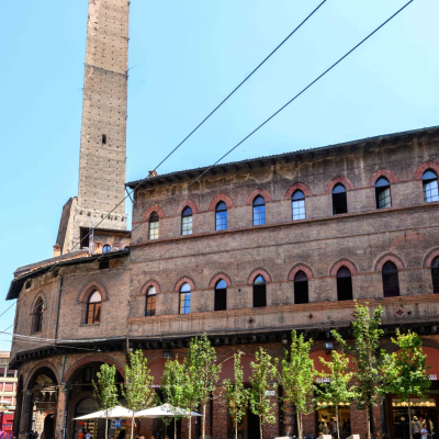 Alberi nelle piazze del centro