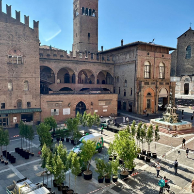 alberi piazza nettuno