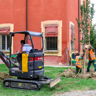 I cento alberi dalle piazze alle scuole