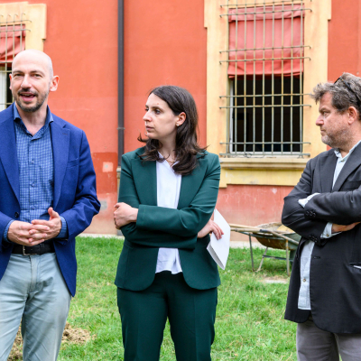 I cento alberi dalle piazze alle scuole