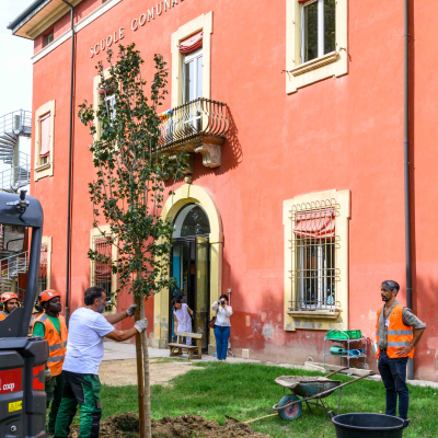 I cento alberi dalle piazze alle scuole