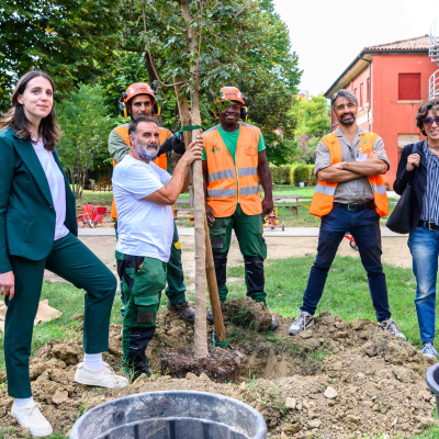 I cento alberi dalle piazze alle scuole