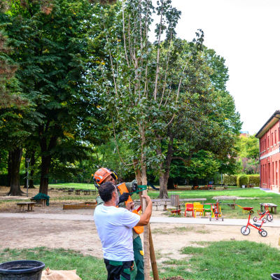 I cento alberi dalle piazze alle scuole