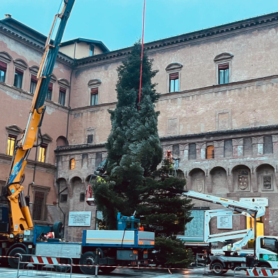 Immagine dell'albero di Natale