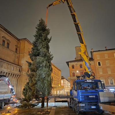 Immagine dell'albero di Natale