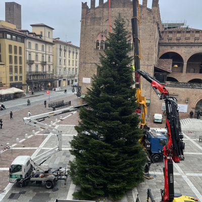 Immagine dell'albero di Natale