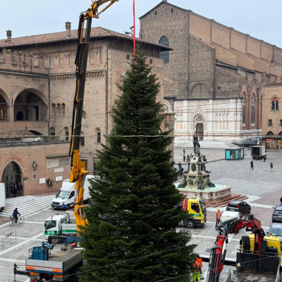 Immagine dell'albero di Natale