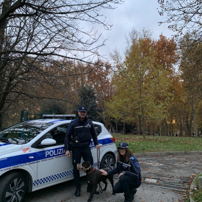 recupero cane abbandonato