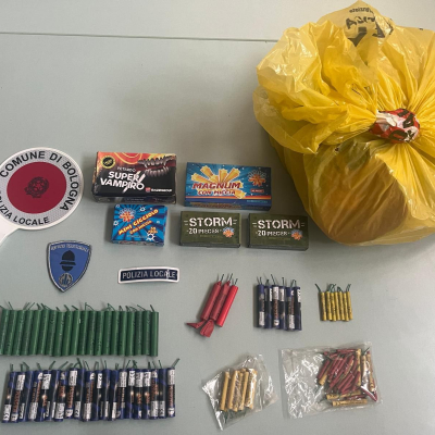 Immagine dei petardi sequestati