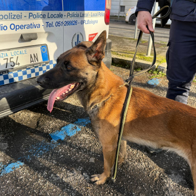 controlli San Donato