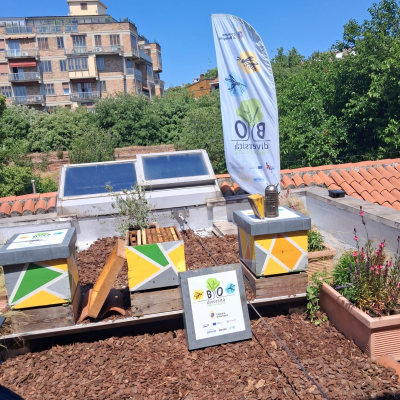 arnia sociale al Lumiere