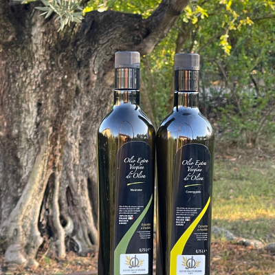 olio dei colli di Bologna