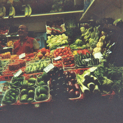 Immagini della mostra