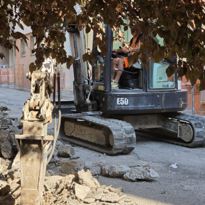 Desigillazione corti Acer in Bolognina