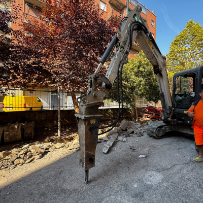 Desigillazione corti Acer in Bolognina