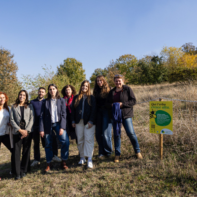 Sfalci ridotti al parco Baden Powell