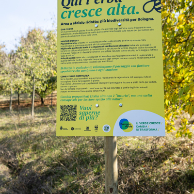 Sfalci ridotti al parco Baden Powell
