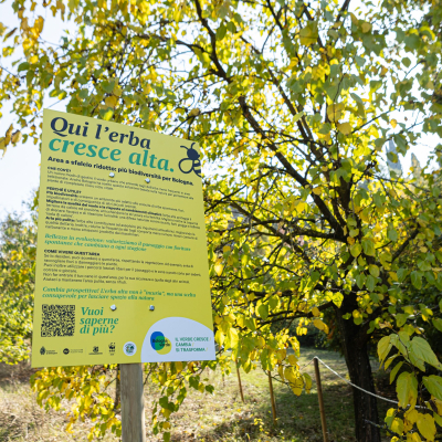 Sfalci ridotti al parco Baden Powell